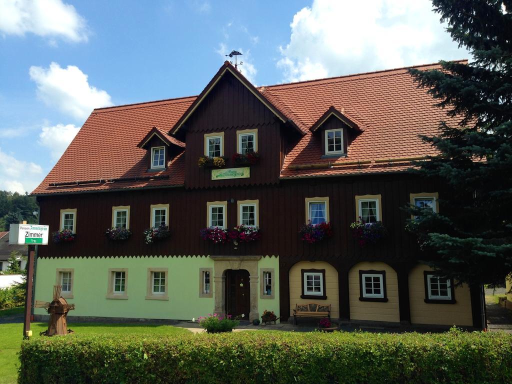 Pension Immergrün Kurort Jonsdorf Dış mekan fotoğraf