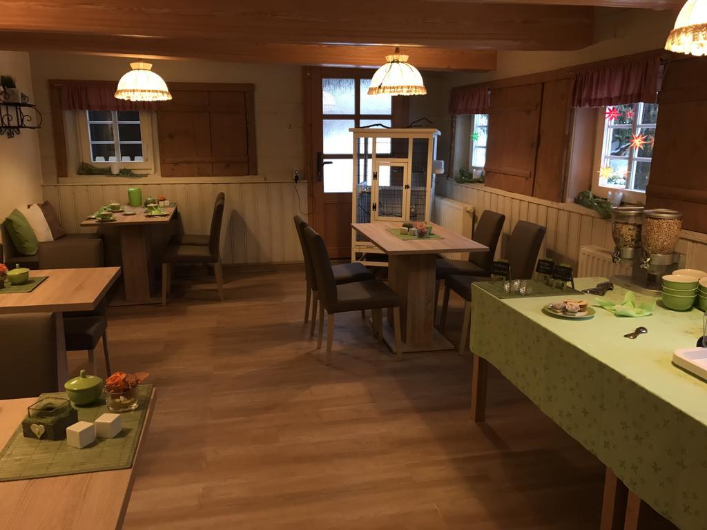 Pension Immergrün Kurort Jonsdorf Dış mekan fotoğraf